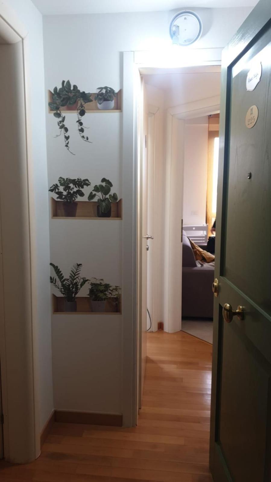 Apartment House Magie 2 E 3